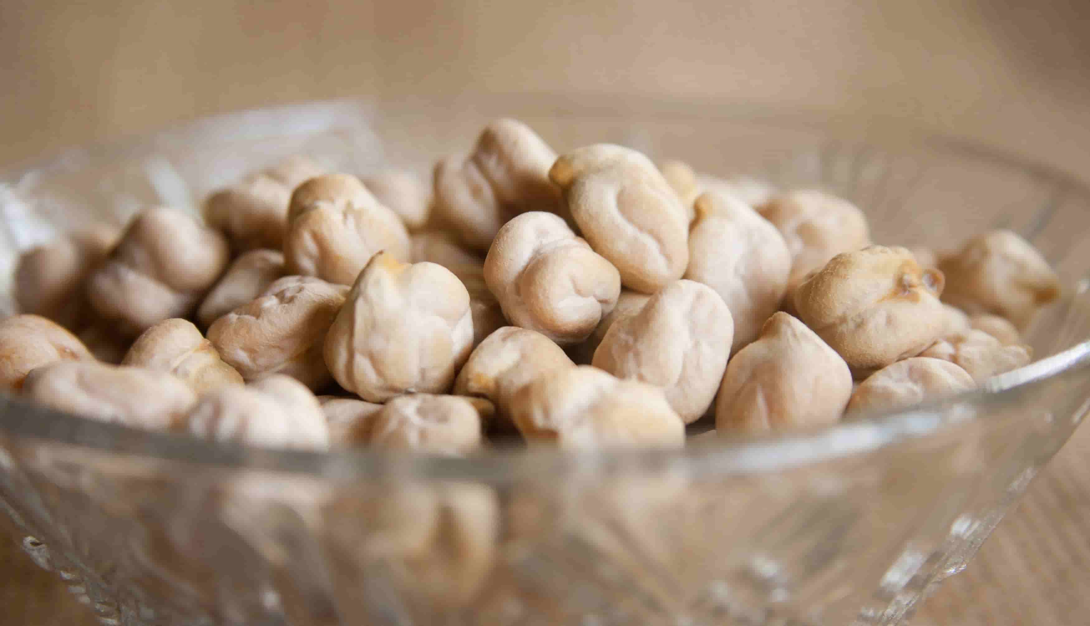 Chickpea (Chana) Supplier & Exporter from India – Buy in Bulk