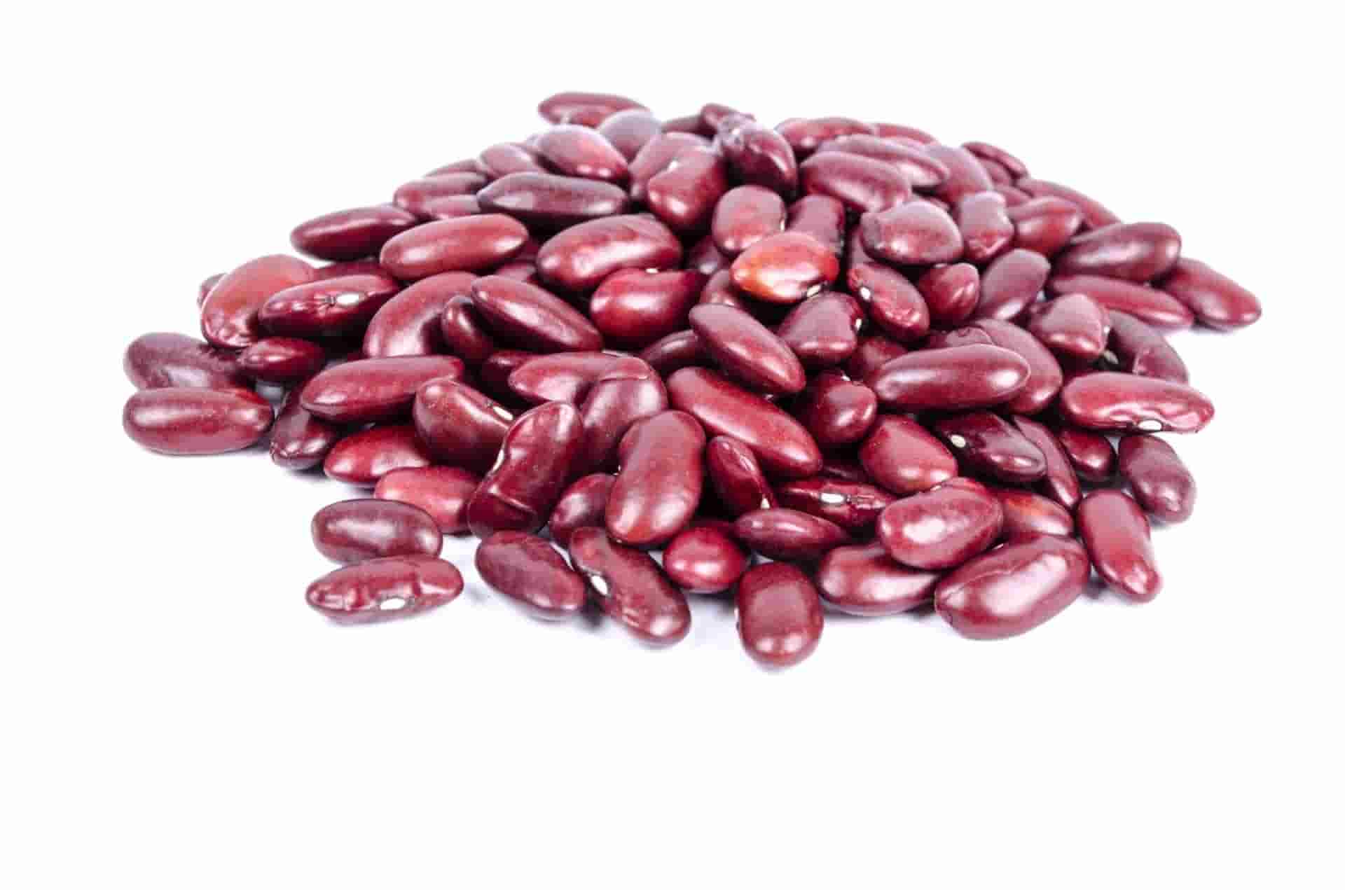 Kidney Beans (Rajma) Supplier & Exporter from India – Buy in Bulk