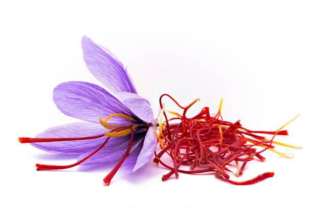 Premium Saffron Supplier & Exporter from India – Buy Bulk Saffron