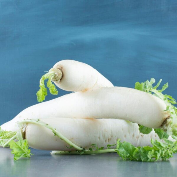 White Radish Mula